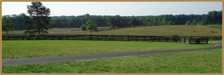 Little Creek Quarter Horses Ranch -- LaGrange, Georgia